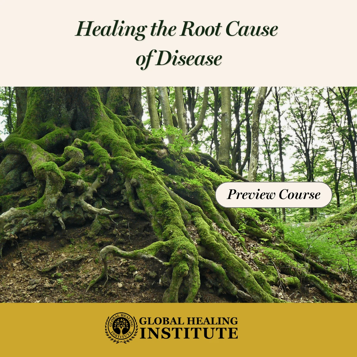 Healing the Root Cause of Disease, Global Healing Institute